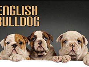 Dog Themed Ballpoint Pens with Grip - 5 Pack (Made in USA) (English Bulldog)