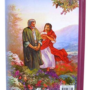 Bible Stories for Catholic Children Illustrated Book by Sister Anna Louise