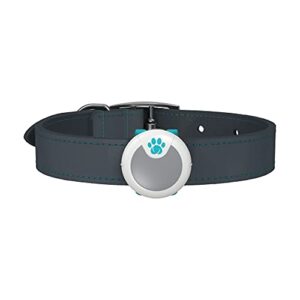 sureflap animo activity tracker and behavior monitor for dogs, .06 lb