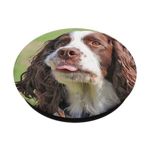 Springer Spaniel Gifts - Cute springer Spaniel Sticking Tong PopSockets PopGrip: Swappable Grip for Phones & Tablets