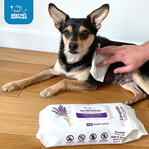 Best Pet Supplies 8" x 9" Pet Grooming Wipes for Dogs & Cats, 100 Pack, Plant-Based Deodorizer for Coats & Dry, Itchy, or Sensitive Skin, Clean Ears, Paws, & Butt - Moisturizing Coconut