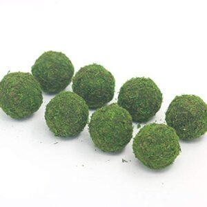 Nice purchase Handmade Natural Green Plant Moss Balls Decorative for Home Party Display Decor Props (2 in)