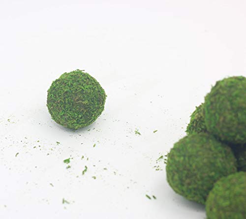 Nice purchase Handmade Natural Green Plant Moss Balls Decorative for Home Party Display Decor Props (2 in)