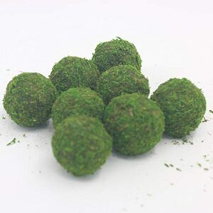 Nice purchase Handmade Natural Green Plant Moss Balls Decorative for Home Party Display Decor Props (2 in)