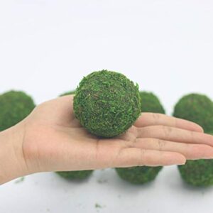 Nice purchase Handmade Natural Green Plant Moss Balls Decorative for Home Party Display Decor Props (2 in)