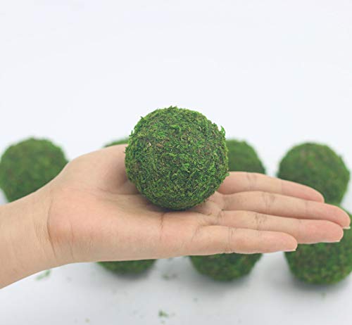 Nice purchase Handmade Natural Green Plant Moss Balls Decorative for Home Party Display Decor Props (2 in)