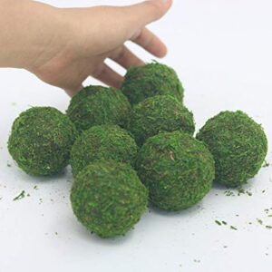 Nice purchase Handmade Natural Green Plant Moss Balls Decorative for Home Party Display Decor Props (2 in)