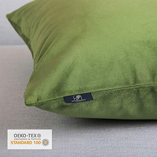 Phantoscope Pack of 2 Velvet Decorative Throw Decorative Pillow Cover Soft Solid Square Cushion Case for Couch Green 20 x 20 inches 50 x 50 cm