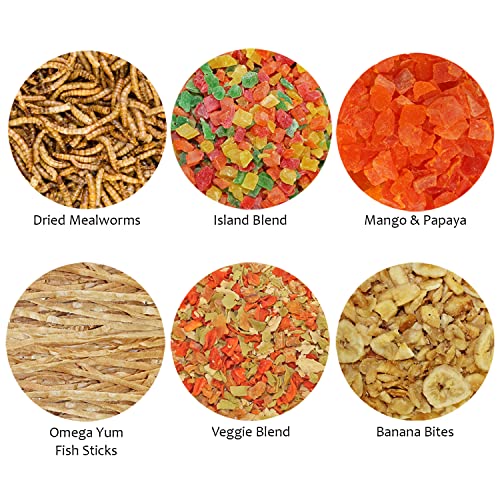 Treat Assortment 6 Pack - Pet Treat with Mix of Dried Fruits, Dried Insects, & Other Crunchies - For Sugar Gliders, Hedgehogs, Squirrels, Rabbits, Marmosets, Rats, Hamsters - Sample Variety