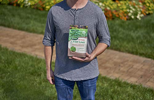 Scotts Turf Builder Clover Lawn, Greener Lawn with Less Maintenance, 2 lbs.