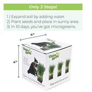 Window Garden Kit Cat Grass for Indoor Cats (3 Pack) - Easy to Grow Kitty Grass Kit, The Purr-FECT Catnip Growing Kit with Planter, Plant Kit Includes Organic Non GMO Wheatgrass Seed and Fiber Soil.