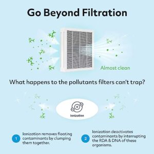 Air Oasis iAdapt H13 HEPA Filter Air Purifier | Reduces 99% of Viruses, Mold, Dust, Smoke, Pollen & Odors | Whisper Quiet Operation For Large Size Rooms | 850 Sq Ft of Clean Air | Lifetime Warranty