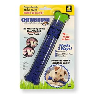 bulbhead chewbrush toothbrush dog toothbrush and dog toy - no dog toothpaste required - great dog teeth cleaning toys (1 pack)