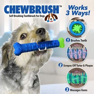 BulbHead Chewbrush Toothbrush Dog Toothbrush and Dog Toy - No Dog Toothpaste Required - Great Dog Teeth Cleaning Toys (1 Pack)