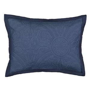 VUE Bensonhurst Modern Embroidered Rectangular Decorative Euro Sham Pillow Case, 20" x 36", Blue