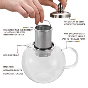 Small Teapot, Teapot with Infuser, Glass Tea Kettle Stovetop Safe, Blooming and Loose Leaf Tea Maker Set Gift for Women, 650ml/22oz