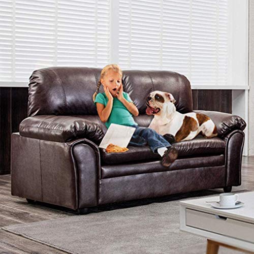PayLessHere Sleeper Contemporary Sofa Couch for Living Room Furniture Modern Futon (Loveseat), Brown
