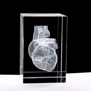 3d human heart anatomical model paperweight(laser etched) in crystal glass cube science gift (no included led base)(3.1x2x2 inch)