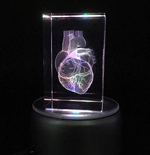 3D Human Heart Anatomical Model Paperweight(Laser Etched) in Crystal Glass Cube Science Gift (No Included LED Base)(3.1x2x2 inch)