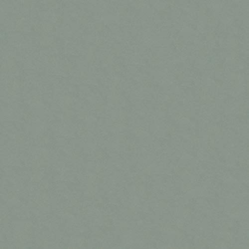 Medium Gray Cardstock - 12 x 12 inch - 80Lb Cover - 25 Sheets - Clear Path Paper