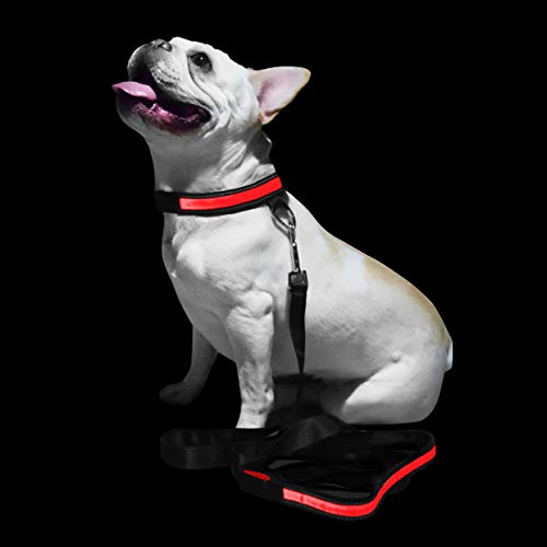 PoundWishes Rechargable Water Resistant LED Dog Leash, 6-Foot, Red