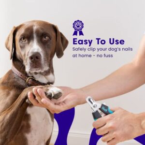 Dudi Large Pet, Dog & Cat Nail Clippers and Trimmers with Quick Safety Guard to Avoid Over-Cutting Toenail, Grooming Razor Sharp Blades & Nail File for Small Medium Large Breeds