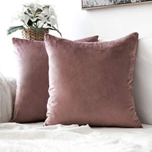 miulee pack of 2 decorative velvet pillow covers soft square throw pillow covers solid cushion covers jam pillow cases for sofa bedroom car 20 x 20 inch 50 x 50 cm