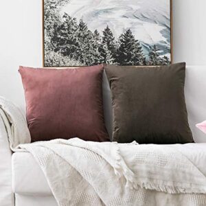 MIULEE Pack of 2 Decorative Velvet Pillow Covers Soft Square Throw Pillow Covers Solid Cushion Covers Jam Pillow Cases for Sofa Bedroom Car 20 x 20 Inch 50 x 50 Cm