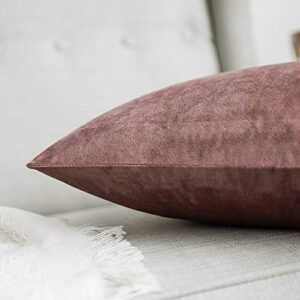 MIULEE Pack of 2 Decorative Velvet Pillow Covers Soft Square Throw Pillow Covers Solid Cushion Covers Jam Pillow Cases for Sofa Bedroom Car 20 x 20 Inch 50 x 50 Cm