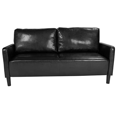 Flash Furniture Washington Park Upholstered Sofa in Black LeatherSoft