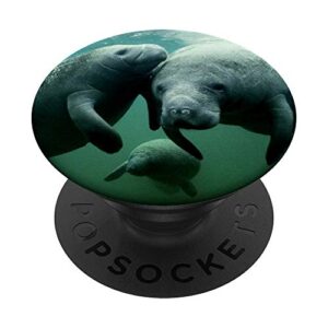 manatee family sea cow mammal conservation photograph popsockets popgrip: swappable grip for phones & tablets