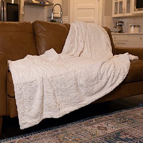 GRACED SOFT LUXURIES Softest Warm Elegant Cozy Faux Fur Home Throw Blanket (Solid Ivory, Extra Large 60" x 80")