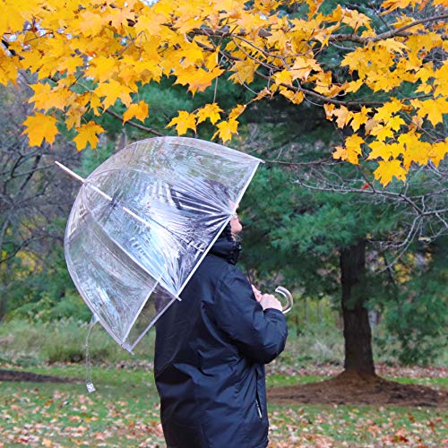 Totes Signature Clear Bubble, Rain & Windproof Umbrella - Perfect for Weddings, Travel and Outdoor Events - Curved Handle with Deluxe Finish, in Transparent or Colorful Design Options