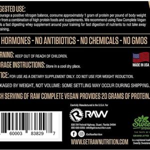 RAW 100% Vegan Protein Powder | Low Carb Vegan Protein Powder, Zero GMO, Non-Dairy, No Artificial Ingredients, Low Sugar Protein | Rich Taste, Natural Sweetened Flavor | Chocolate (25 Servings)