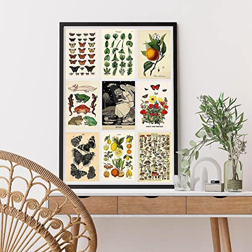 LCLAIDYDY 50PCS Vintage Collection Postcard Set, Retro Style Plants Butterfly Mushroom Nature Postcards Pack for Room Decor, Botanical Ephemera Aesthetic Postcards,Wall Collage Kit Aesthetic Pictures