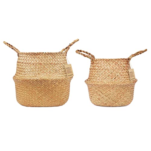 Blueming Home Decor Plant Baskets – Set of 2, Twin Pack Large Hand Woven Seagrass Rattan Belly Planter with Handles for Plant Pots, Home Decor, Organizer, Laundry (Original, 12 Inch x 10 Inch)