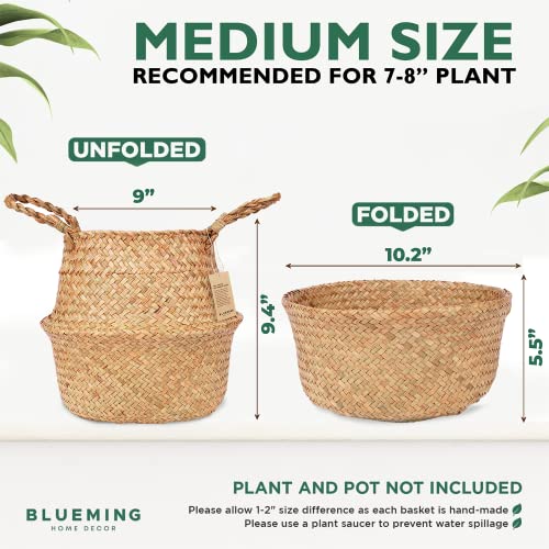 Blueming Home Decor Plant Baskets – Set of 2, Twin Pack Large Hand Woven Seagrass Rattan Belly Planter with Handles for Plant Pots, Home Decor, Organizer, Laundry (Original, 12 Inch x 10 Inch)