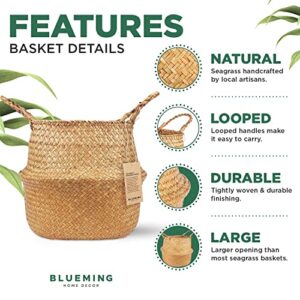 Blueming Home Decor Plant Baskets – Set of 2, Twin Pack Large Hand Woven Seagrass Rattan Belly Planter with Handles for Plant Pots, Home Decor, Organizer, Laundry (Original, 12 Inch x 10 Inch)