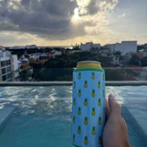 Tropical Drinkware -1 Slim Can Coozie - Insulated Slim Can Cooler for Tall Skinny Beer Cans - 12oz Truly Hard Seltzer Coozie Insulator - Metal White Claw Can Coozie