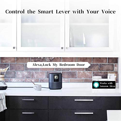 Fingerprint Door Lock, SMONET Smart Lock with Reversible Handle,Keyless Entry Biometric Door Lock with Keypad,Digital Electronic Bluetooth Door Lock for Home Apartment