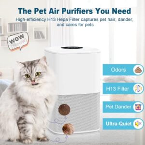 Cwxwei Air Purifiers for Bedroom Home,Max Up to 825 sq ft,True H13 HEPA Filter,For Pet Dander,Smoke,Odor,Dust,Allergens,Mold,Wildfire Particles.24dB Quiet Air Purifier,Desktop Air Cleaners,SY910