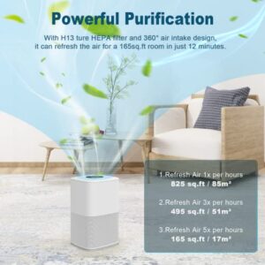 Cwxwei Air Purifiers for Bedroom Home,Max Up to 825 sq ft,True H13 HEPA Filter,For Pet Dander,Smoke,Odor,Dust,Allergens,Mold,Wildfire Particles.24dB Quiet Air Purifier,Desktop Air Cleaners,SY910