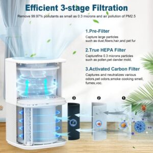Cwxwei Air Purifiers for Bedroom Home,Max Up to 825 sq ft,True H13 HEPA Filter,For Pet Dander,Smoke,Odor,Dust,Allergens,Mold,Wildfire Particles.24dB Quiet Air Purifier,Desktop Air Cleaners,SY910