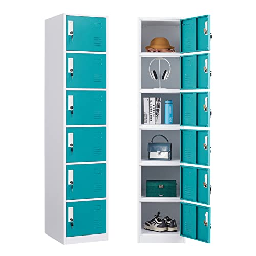 WIILAYOK Locker Storage Cabinet, Metal Lockers for Employees with Keys, 6-Tier Storage Locker for Office School Gym Corridor