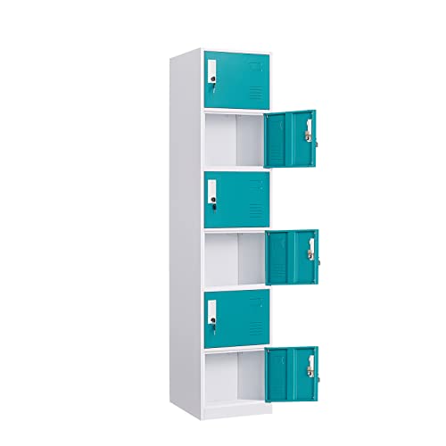 WIILAYOK Locker Storage Cabinet, Metal Lockers for Employees with Keys, 6-Tier Storage Locker for Office School Gym Corridor