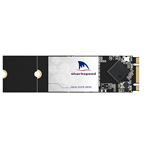 256GB Internal SSD M.2 2280 NGFF SHARKSPEED Plus 3D NAND SATA III 6 Gb/s,Internal Solid State Drive for Notebooks Desktop PC (M.2 2280 256GB)