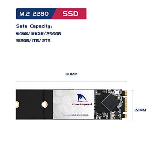 256GB Internal SSD M.2 2280 NGFF SHARKSPEED Plus 3D NAND SATA III 6 Gb/s,Internal Solid State Drive for Notebooks Desktop PC (M.2 2280 256GB)