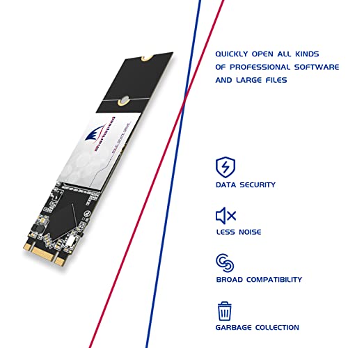 256GB Internal SSD M.2 2280 NGFF SHARKSPEED Plus 3D NAND SATA III 6 Gb/s,Internal Solid State Drive for Notebooks Desktop PC (M.2 2280 256GB)