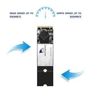 256GB Internal SSD M.2 2280 NGFF SHARKSPEED Plus 3D NAND SATA III 6 Gb/s,Internal Solid State Drive for Notebooks Desktop PC (M.2 2280 256GB)