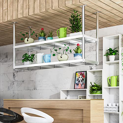 DSVONAUS Ceiling Storage Shelf, 2 Layer Stainless Steel Ceiling Mount Shelf, Hanging Floating Shelves, Organizer Rack for Restaurant Kitchen Bar Cafe Shelf, Easy to Install - 6 Sizes (80×35×80cm)